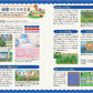 Animal Crossing: New Horizons Ver.3.0 & Nintendo Switch 2 Edition Guide Book
