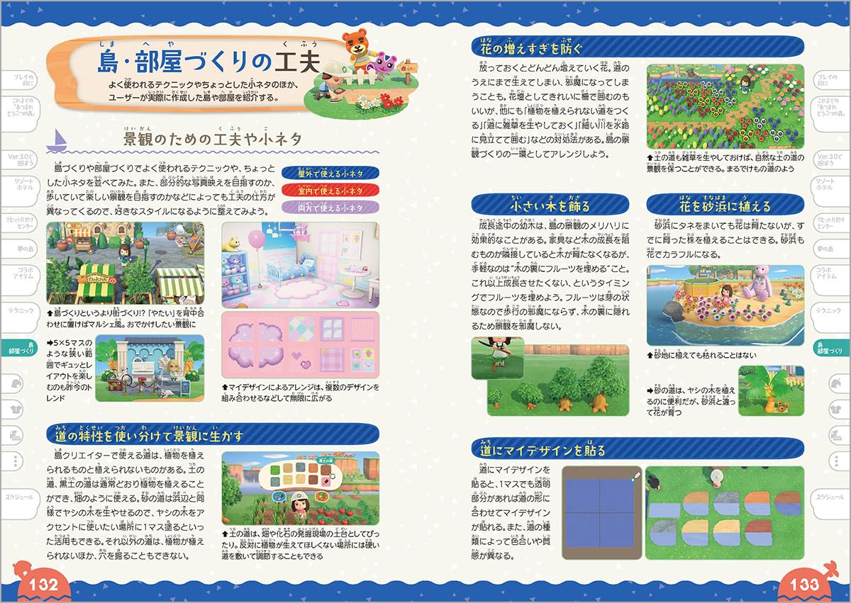 Animal Crossing: New Horizons Ver.3.0 & Nintendo Switch 2 Edition Guide Book