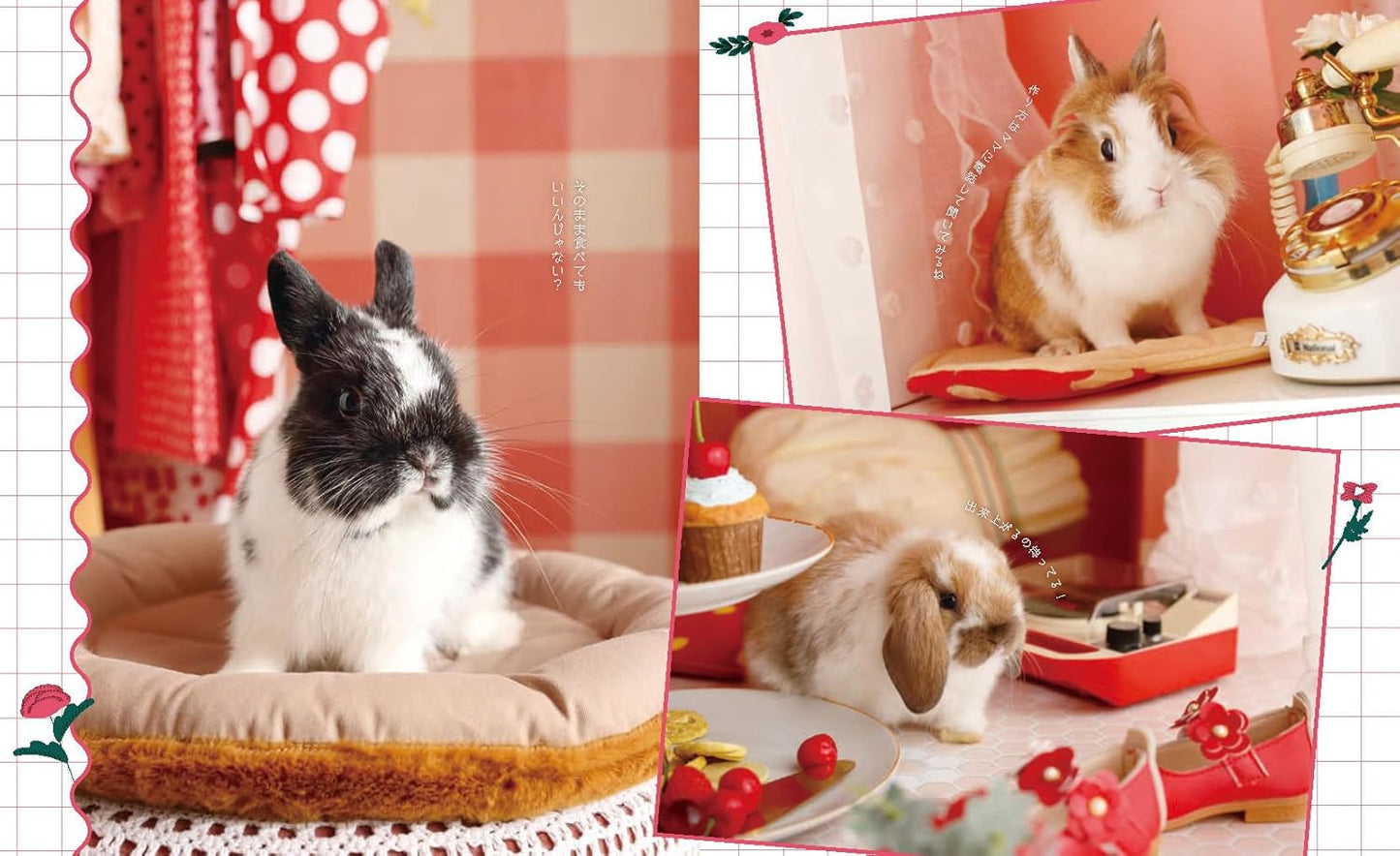 With Rabbit Vol.98 Winter 2025