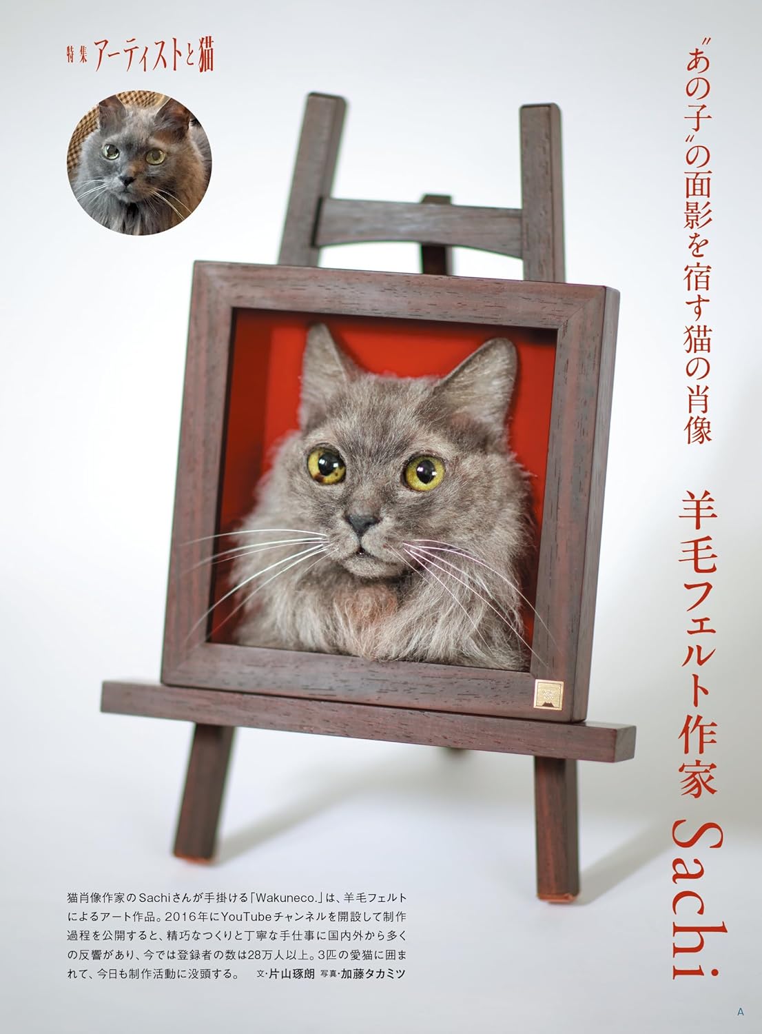 Nekobiyori 2026 Summer