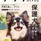Chihuahua Style Vol. 36 cover