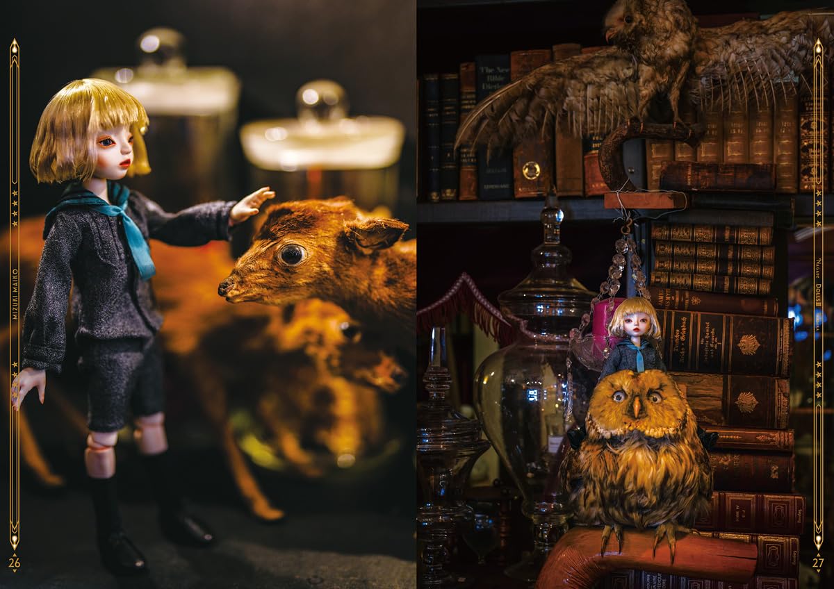 Nagare Tanaka Ball-Jointed Doll Photo Book "Dolls 3"