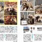 Tanuki Marugoto Book