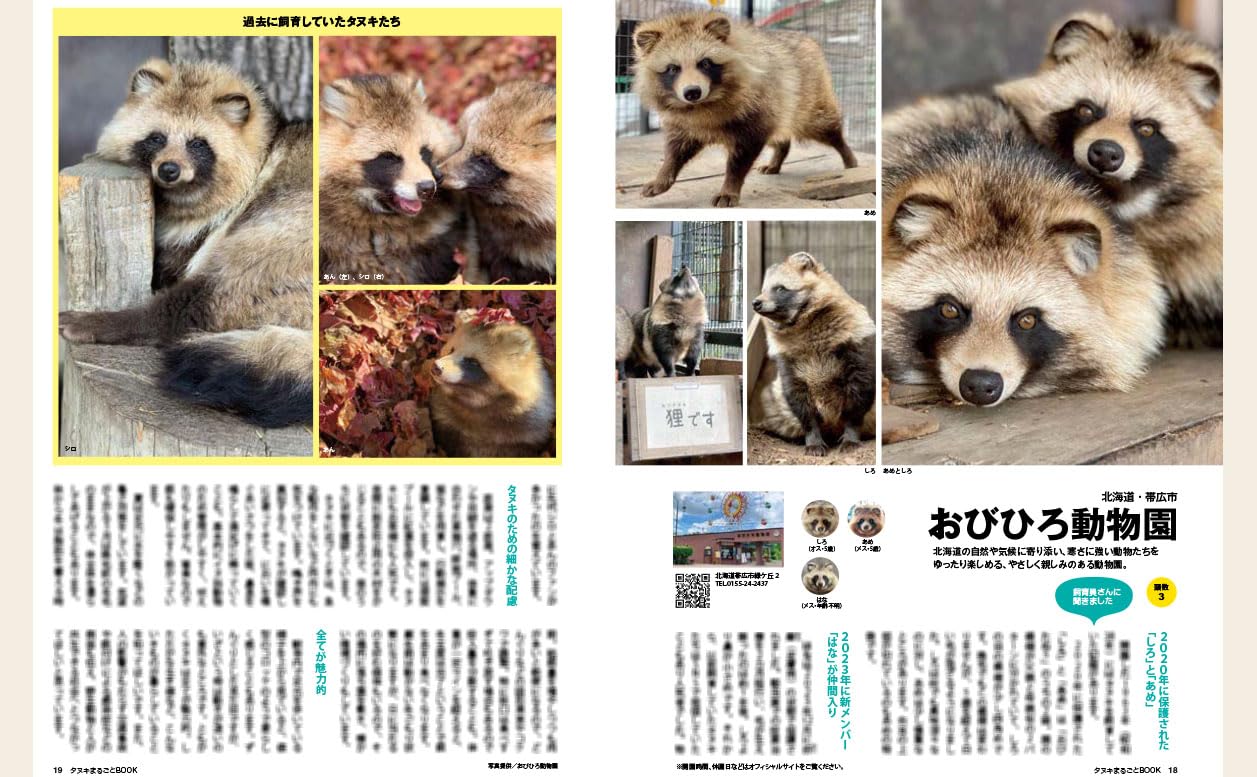 Tanuki Marugoto Book