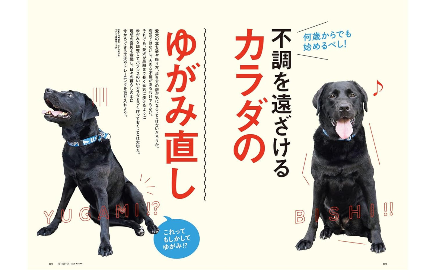 RETRIEVER October 2025 Vol.121