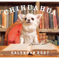 Chihuahua Style Vol. 36