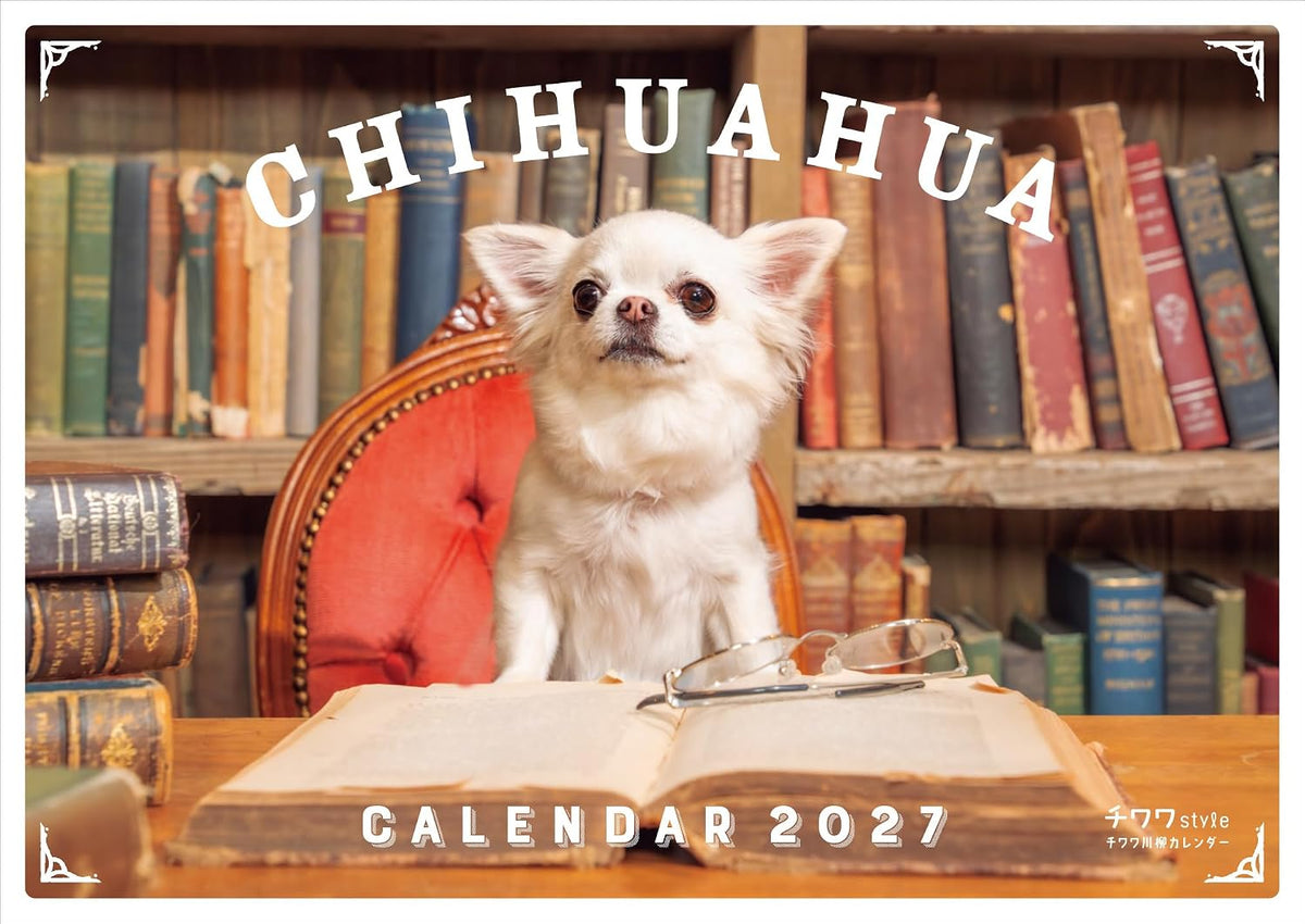 Chihuahua Style Vol. 36