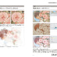 Beshi ILLUSTRATION MAKING & VISUAL BOOK Inner Garden