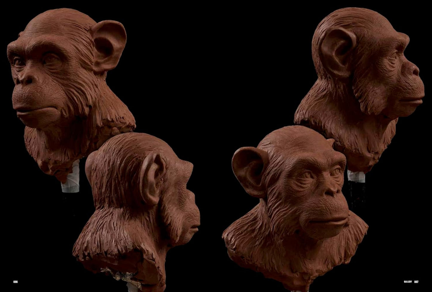 Animal Modeling - Zoological Anatomy for Sculptors Expanded Edition