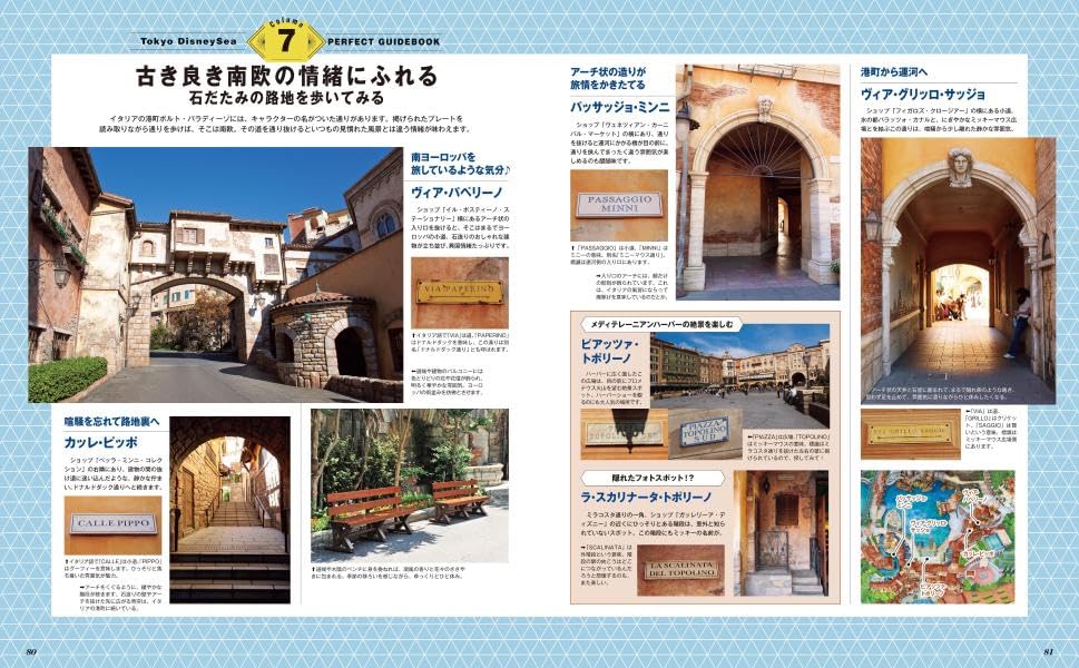 Tokyo Disney DisneySea Perfect Guide Book 2024