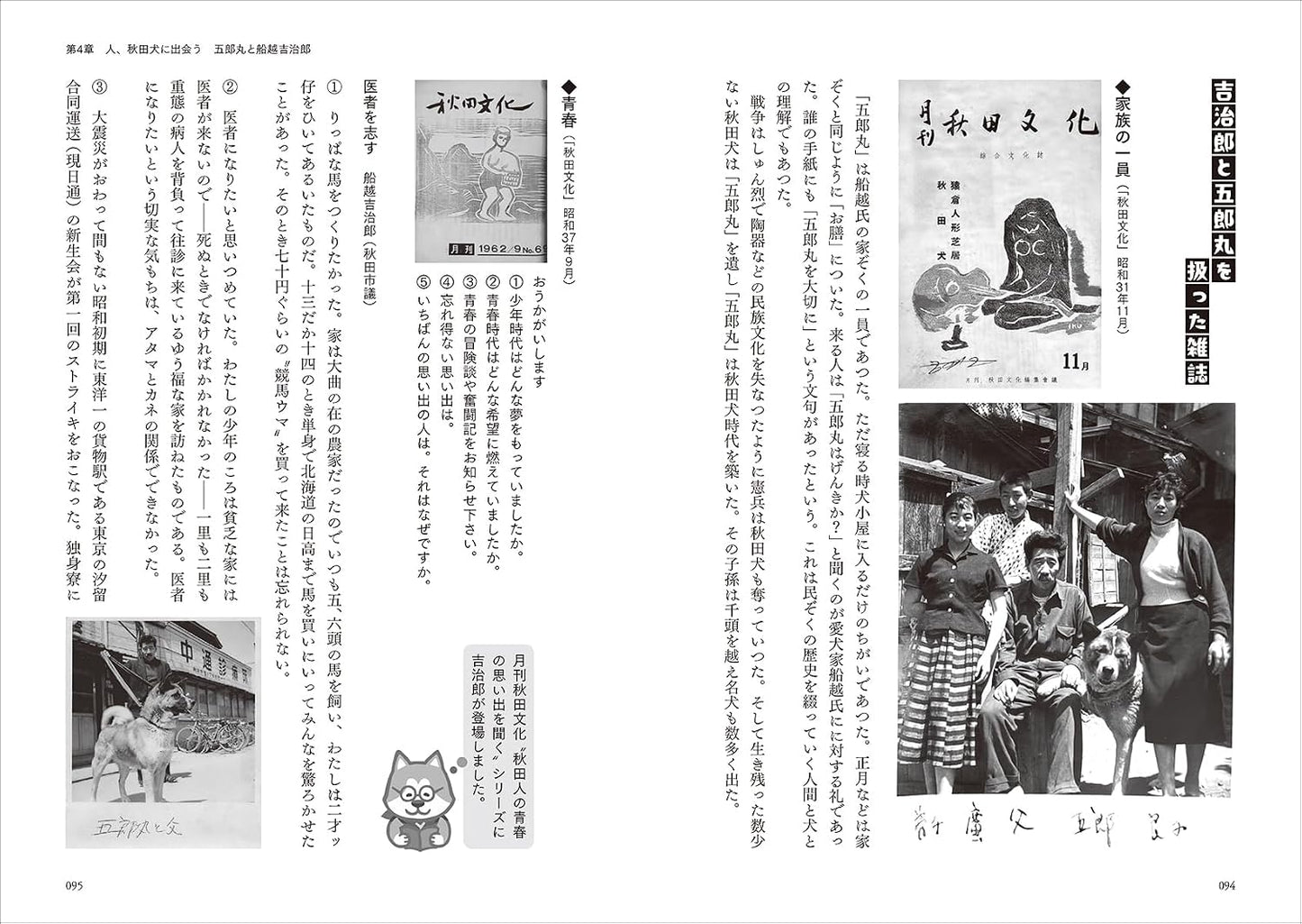 Akita Inu Reference Collection