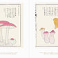 Beautiful Mushroom Illustrations of the World