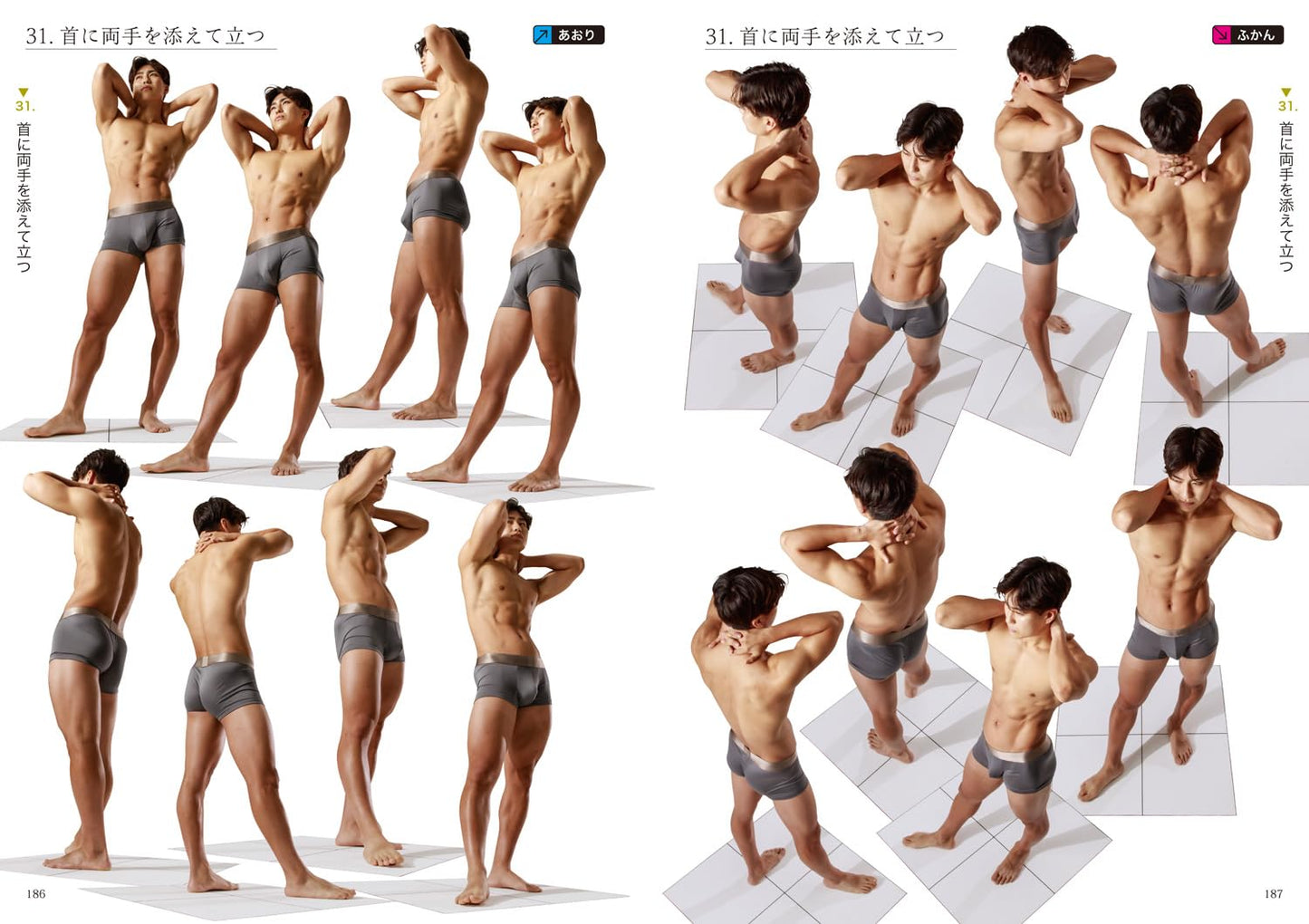 Muscular Male Pose Catalog