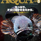 Monthly Aqualife August 2026 cover