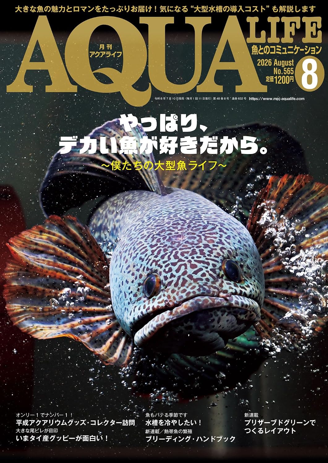 Monthly Aqualife August 2026 cover