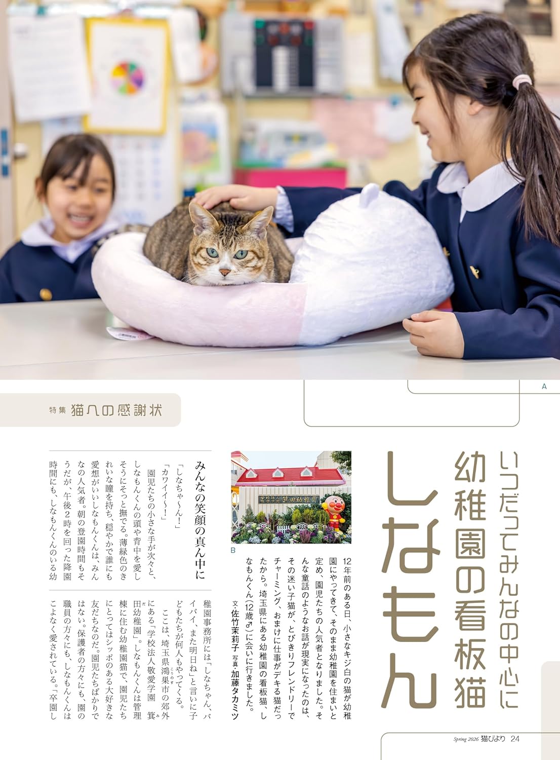 Neko Biyori Spring 2026