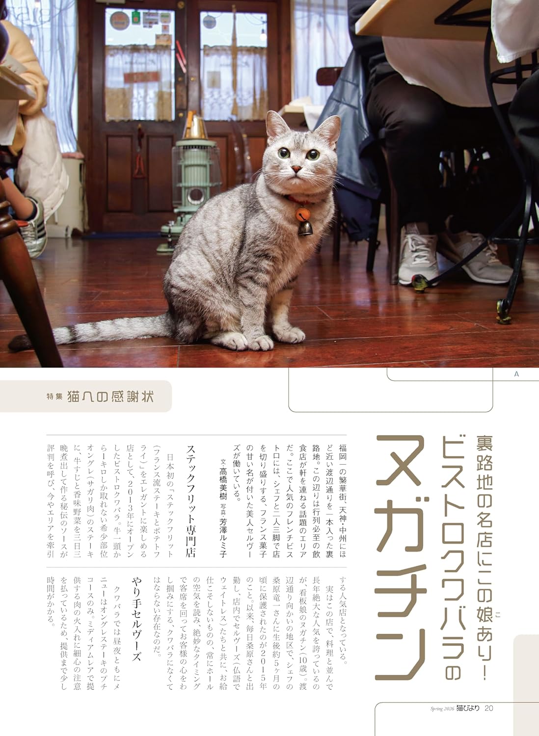 Neko Biyori Spring 2026