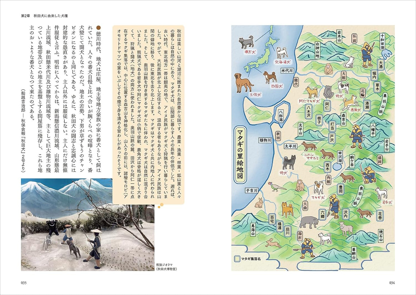 Akita Inu Reference Collection