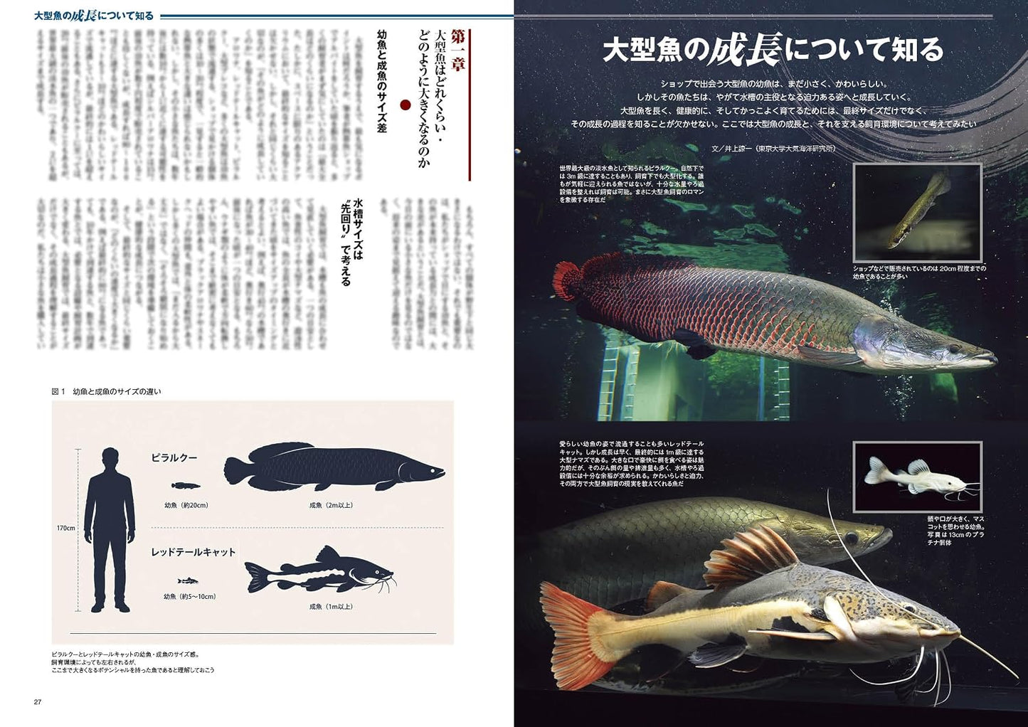 Monthly Aqualife August 2026