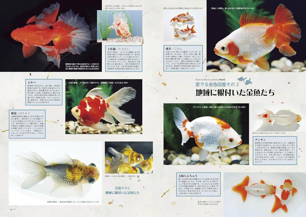 Monthly Aqualife October 2026