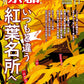 Monthly Kyoto November 2026 cover