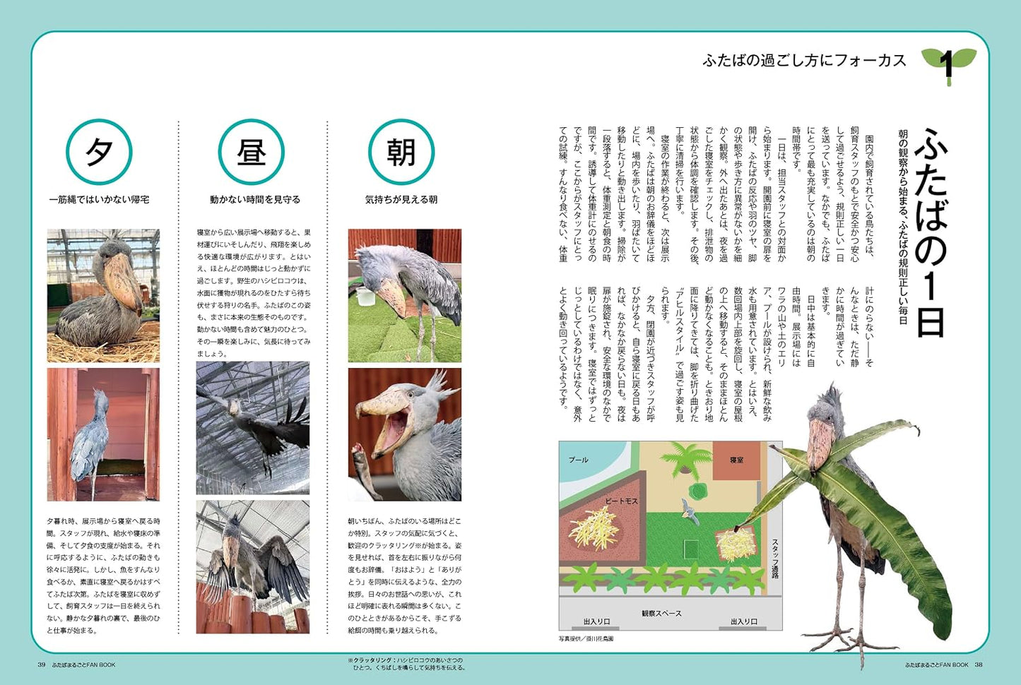 Shoebill Futaba: Complete Fan Book