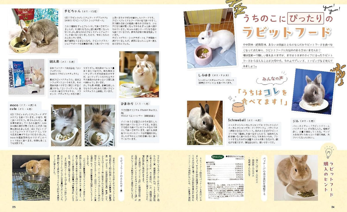Usagi to Kurasu No.101 Autumn 2026