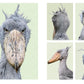 Shoebill Futaba: Complete Fan Book
