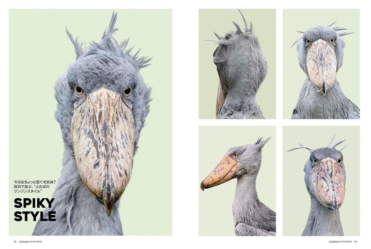 Shoebill Futaba: Complete Fan Book