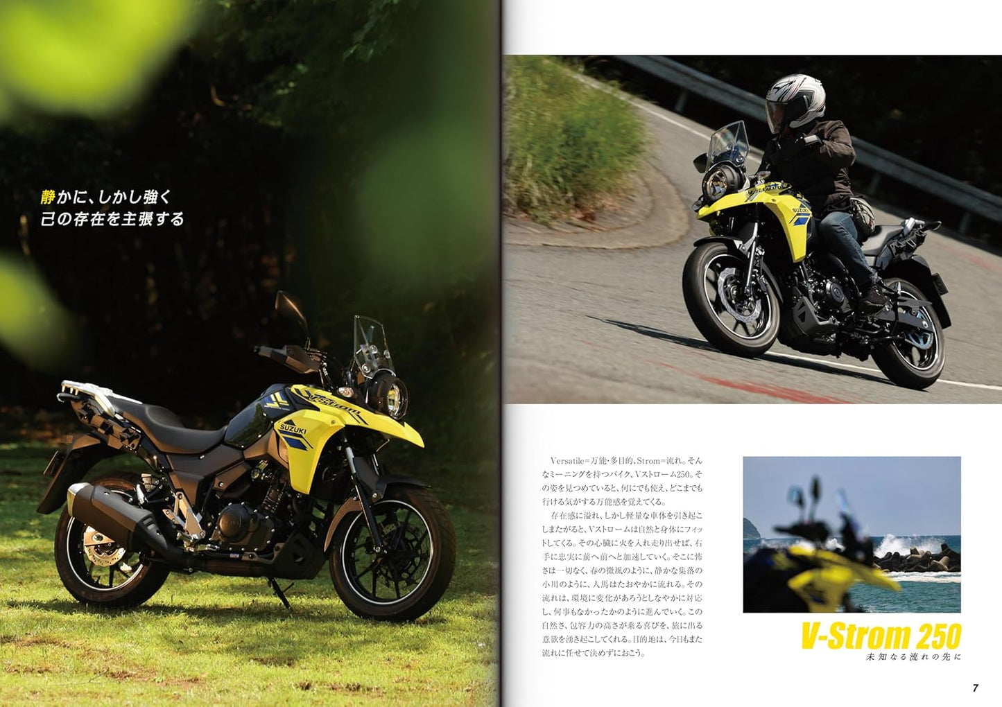 SUZUKI V-Strom 250 Custom & Maintenance