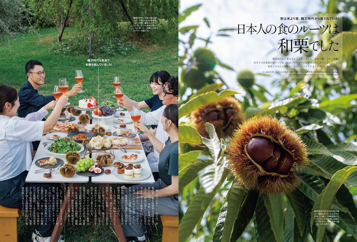 Discover Japan November 2026