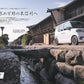 All About BYD RACCO