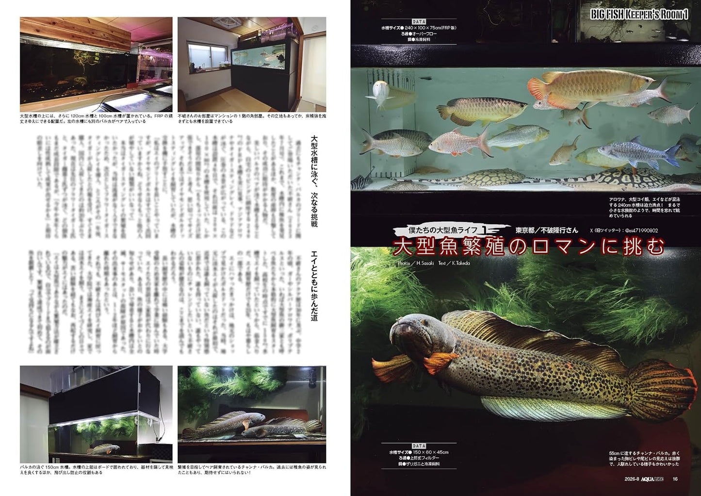 Monthly Aqualife August 2026