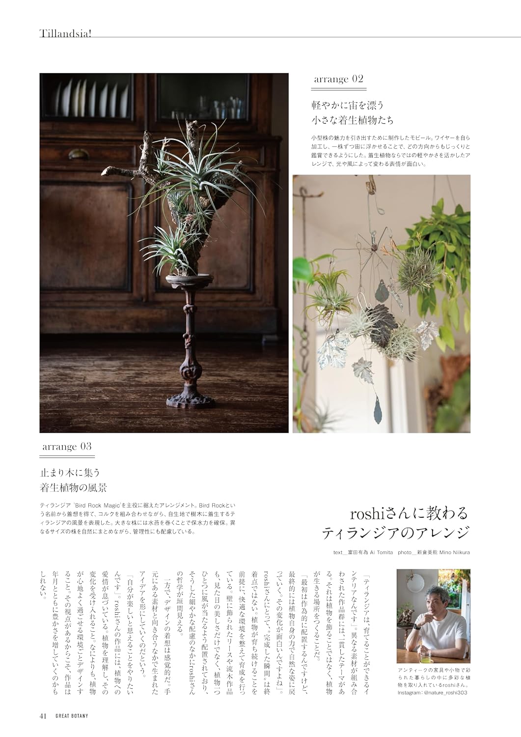 GREAT BOTANY Vol.4