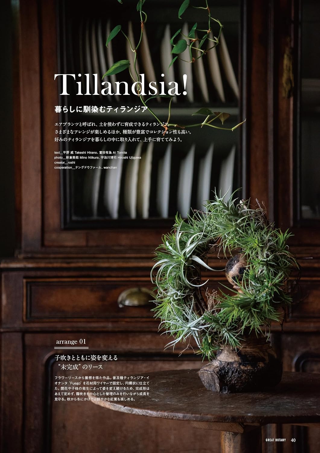 GREAT BOTANY Vol.4