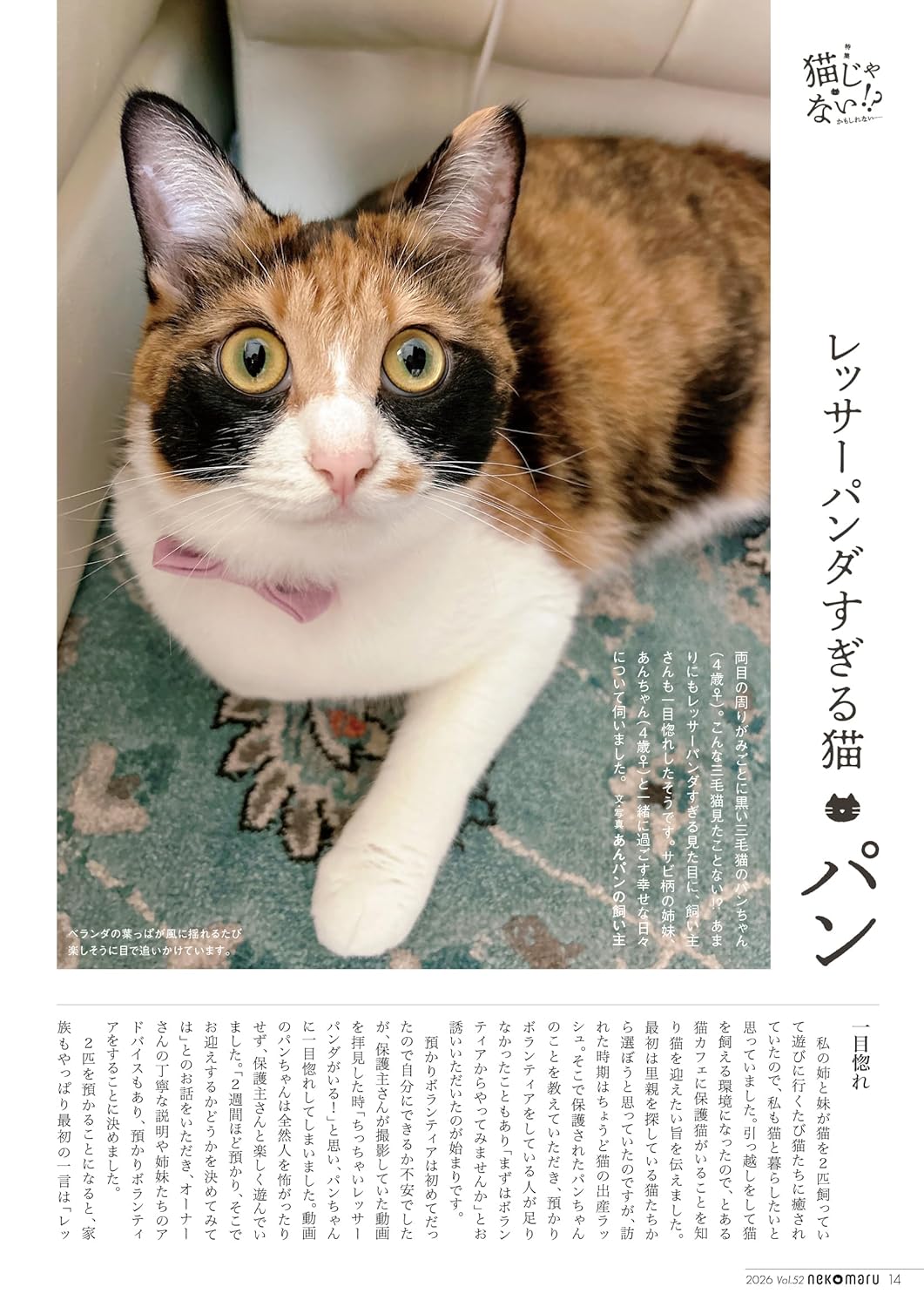 Nekomaru Summer/Autumn 2026