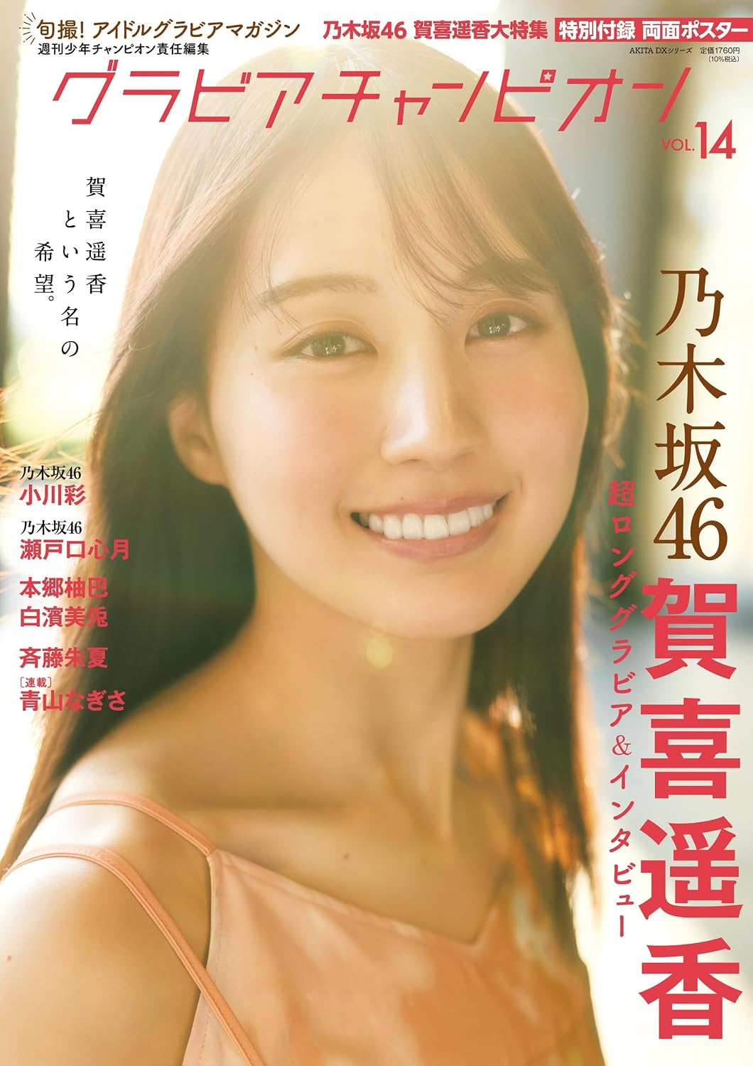 Gravure Champion Vol. 14 cover