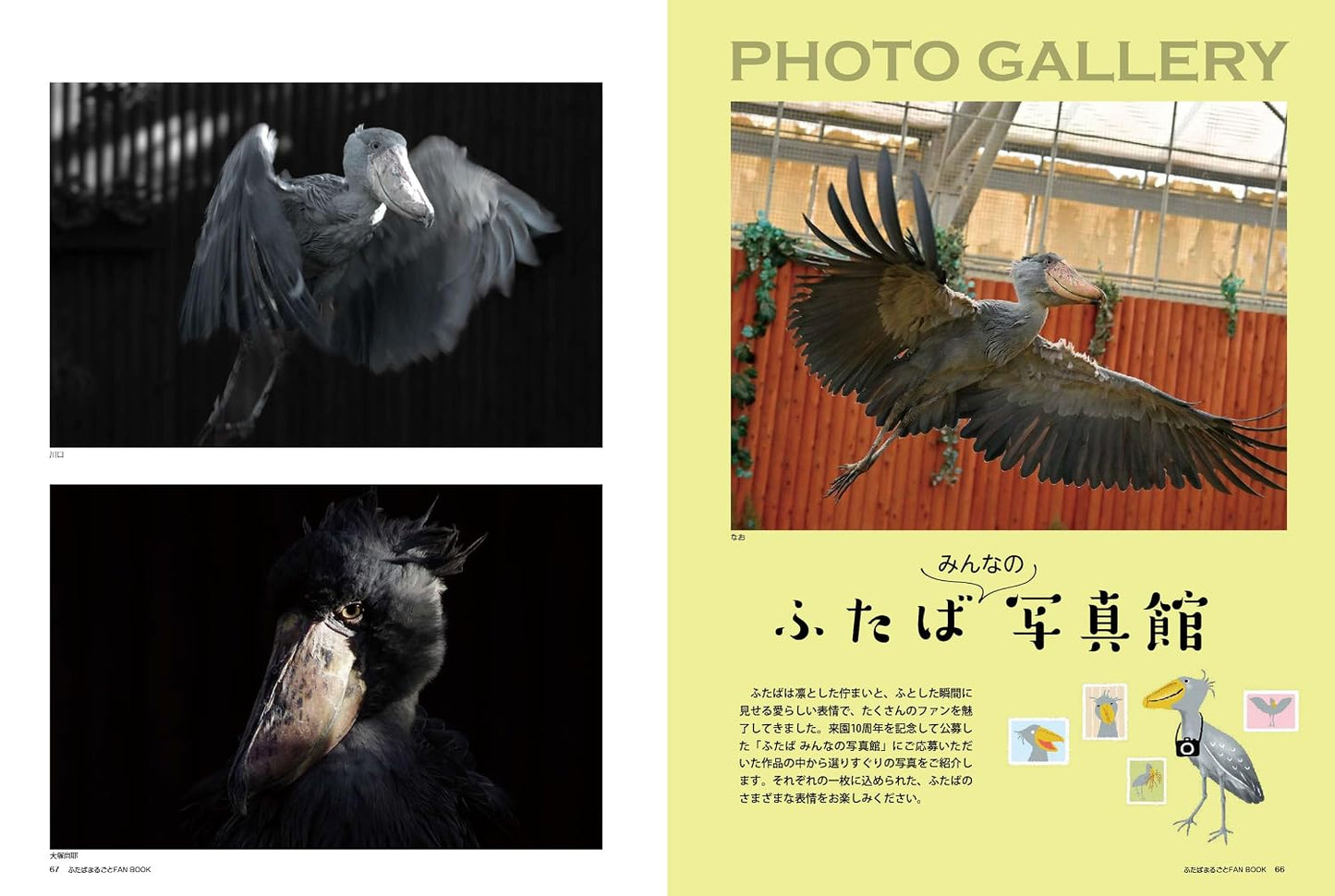 Shoebill Futaba: Complete Fan Book