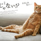 Nekomaru Summer/Autumn 2026