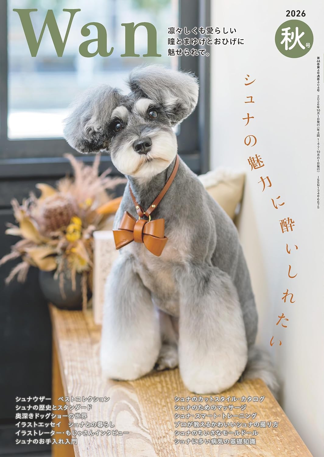 Wan Autumn 2026 cover