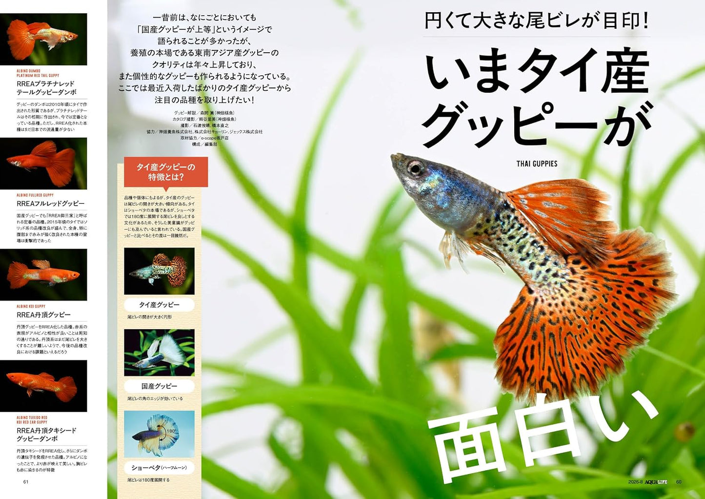 Monthly Aqualife August 2026