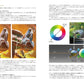 Light Color Drawing: Light, Color and Shadow for Immersive Illustration