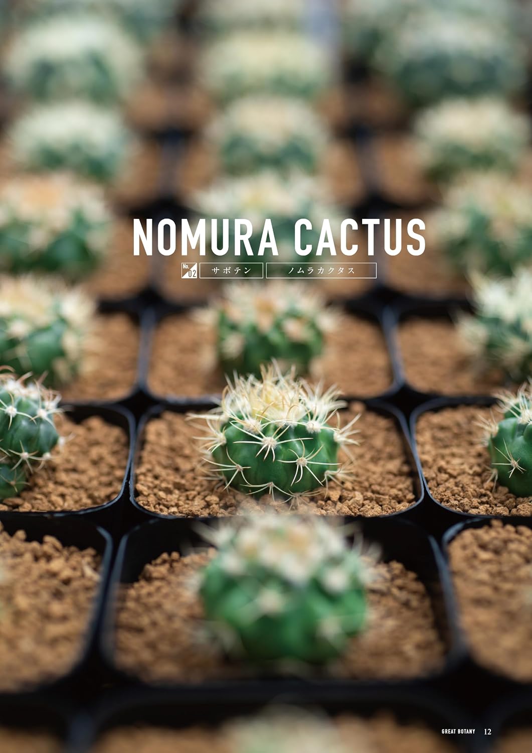GREAT BOTANY Vol.4