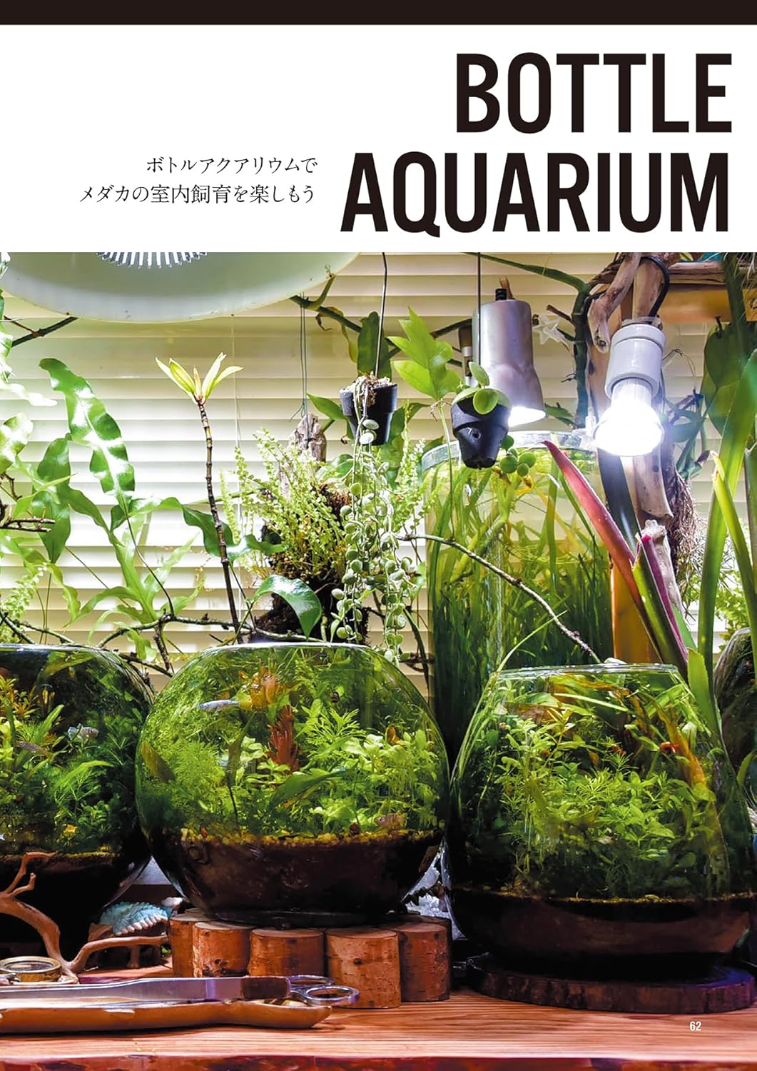 Medaka no Kyokasho Vol.11