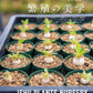 GREAT BOTANY Vol.4