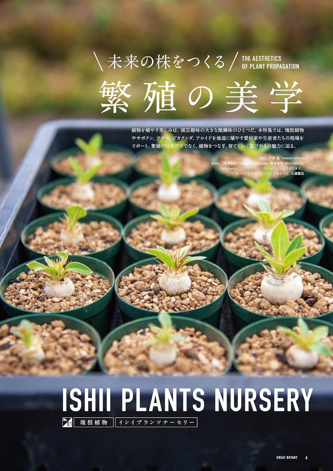 GREAT BOTANY Vol.4