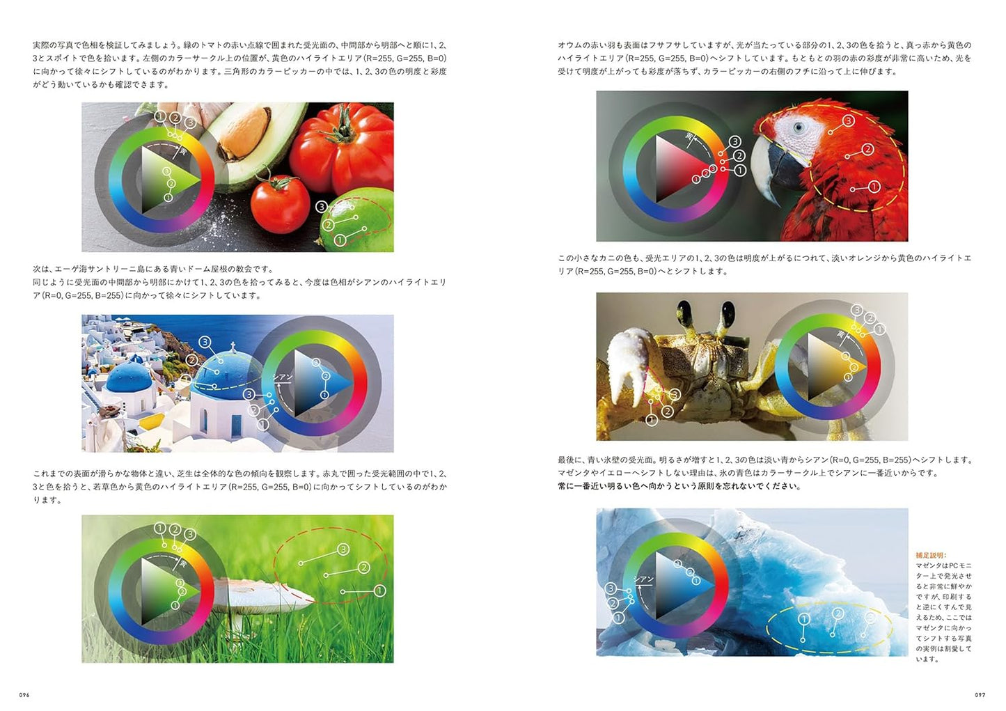 Light Color Drawing: Light, Color and Shadow for Immersive Illustration