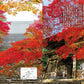 Monthly Kyoto November 2026