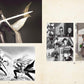 NAVIGAVI Jun Fantasy Art Collection