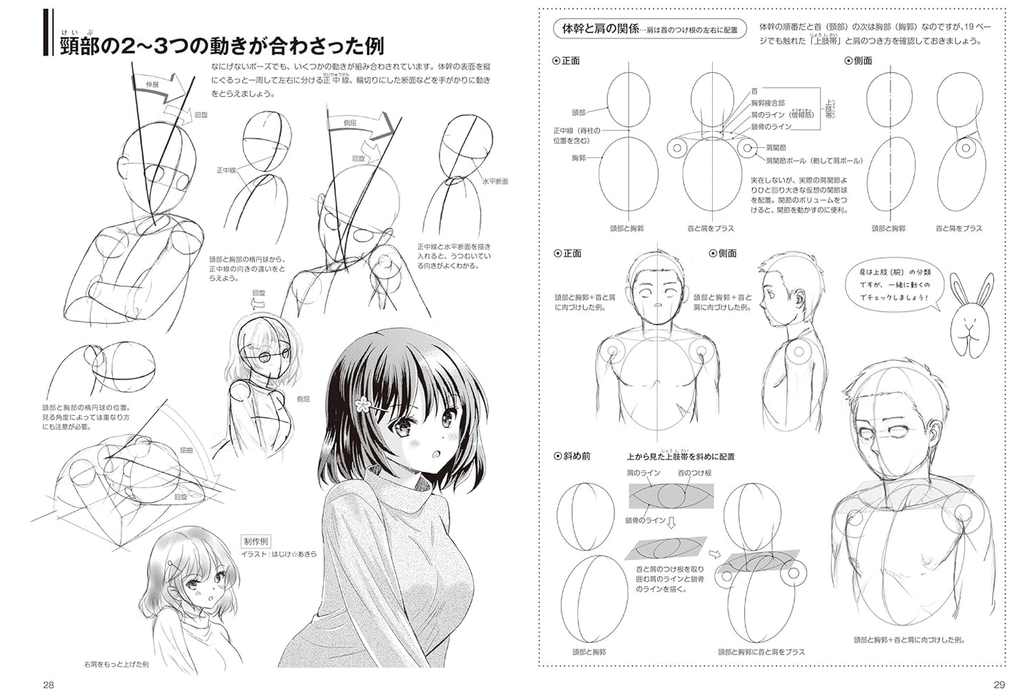 Human Illustration Lesson, 3D Drawing Technique by Hiroshi Misawa